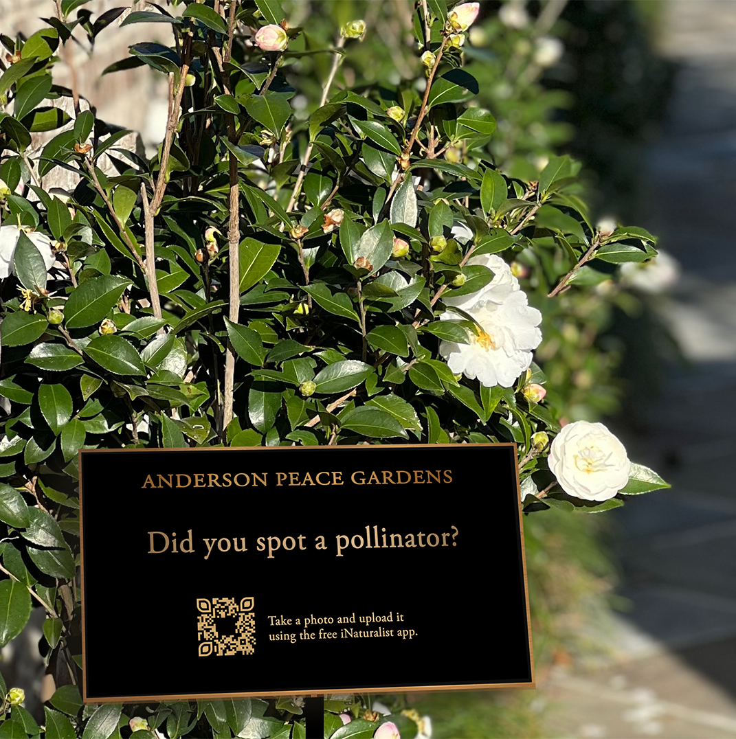 Beautiful brass sign inviting garden visitors to download the free iNaturalist app and become a contributing scientist.