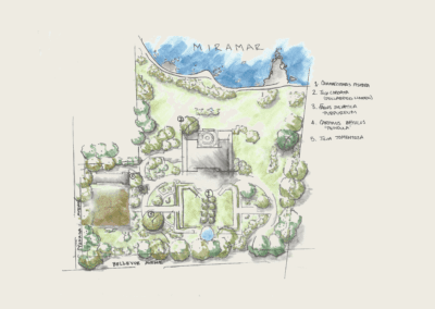 Ink and wash rendering of Miramar's woody plant collection.